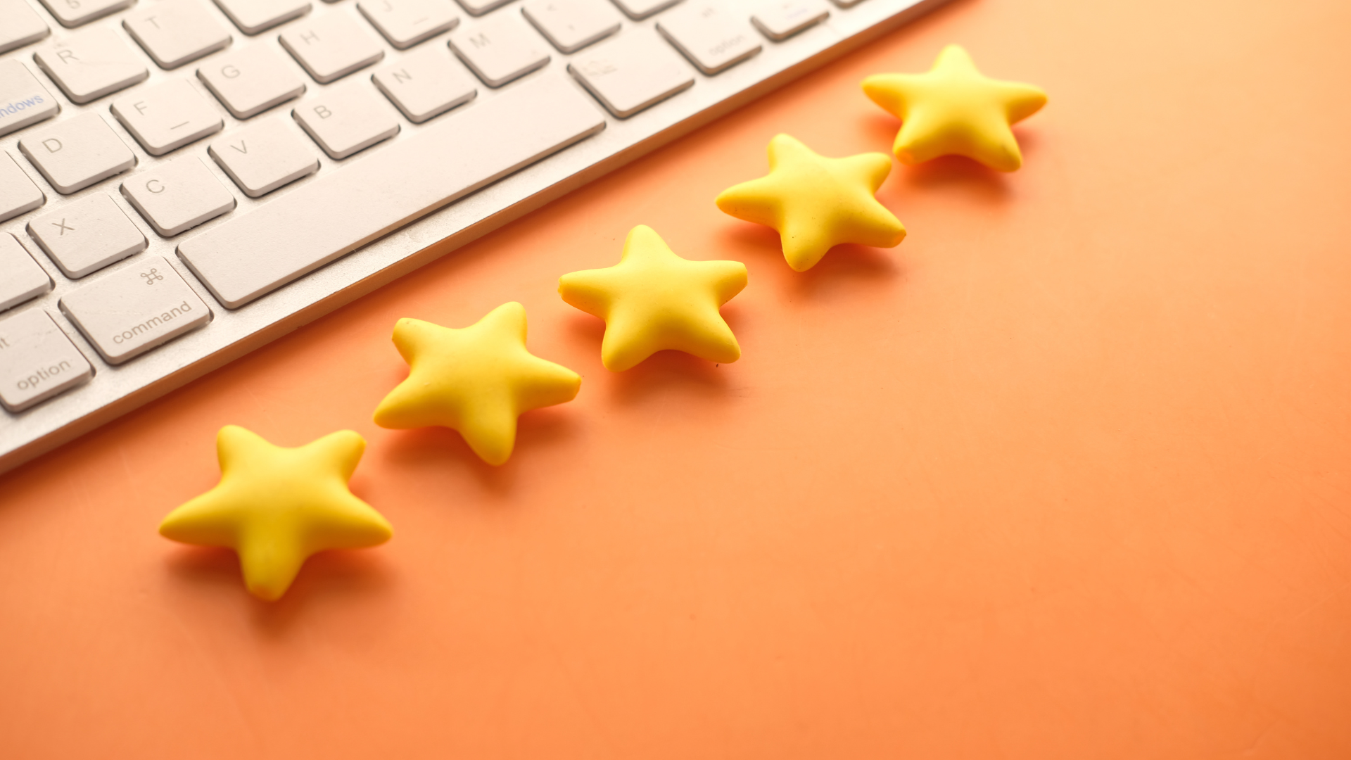 Customer Feedback